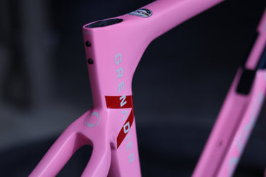 PINARELLO Dogma F12 Team Ineos Grenadier Frame Set